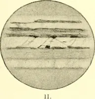 Picture 33 of 58 from The evolution of worlds (1909), leaf 136