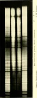 An illustration from The evolution of worlds (1909)