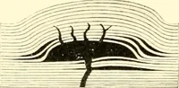 An illustration from The evolution of worlds (1909)