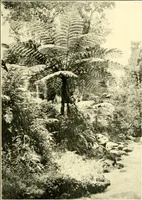 Picture 44 of 58 from The evolution of worlds (1909), leaf 214