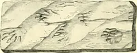 An illustration from The evolution of worlds (1909)