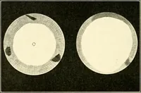 An illustration from The evolution of worlds (1909)