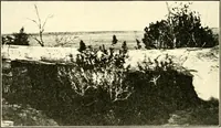 Picture 52 of 58 from The evolution of worlds (1909), leaf 249