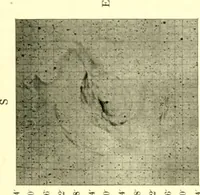 Picture 6 of 58 from The evolution of worlds (1909), leaf 36