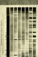 An illustration from The evolution of worlds (1909)