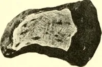 An illustration from The evolution of worlds (1909)