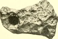 Picture 17 of 58 from The evolution of worlds (1909), leaf 66
