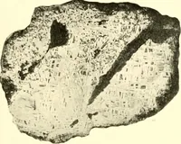An illustration from The evolution of worlds (1909)