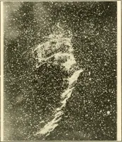 An illustration from The evolution of worlds (1909)