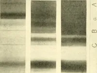 An illustration from The evolution of worlds (1909)