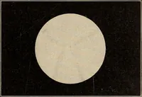 Picture 27 of 59 from The evolution of worlds (1909), leaf 104