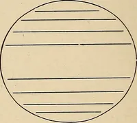 An illustration from The evolution of worlds (1909)