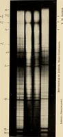 Picture 39 of 59 from The evolution of worlds (1909), leaf 184