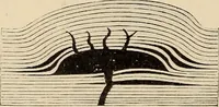 An illustration from The evolution of worlds (1909)
