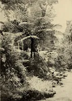 Picture 45 of 59 from The evolution of worlds (1909), leaf 212
