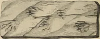 Picture 47 of 59 from The evolution of worlds (1909), leaf 225