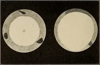 Picture 49 of 59 from The evolution of worlds (1909), leaf 235