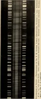 Picture 59 of 59 from The evolution of worlds (1909), leaf 272