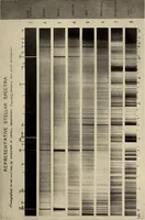 Picture 14 of 59 from The evolution of worlds (1909), leaf 46