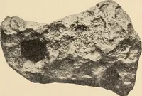 Picture 16 of 59 from The evolution of worlds (1909), leaf 64