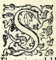 An illustration from Evphimia : tragedia (1583)