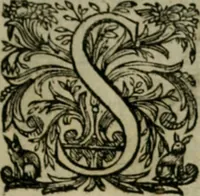 An illustration from Exactissima descriptio rariorum quarundam plantarum, que continentur Rome in Horto Farnesiano (1625)