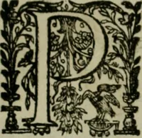 Picture 44 of 57 from Exactissima descriptio rariorum quarundam plantarum, que continentur Rome in Horto Farnesiano (1625), leaf 102