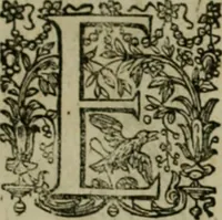 Picture 46 of 57 from Exactissima descriptio rariorum quarundam plantarum, que continentur Rome in Horto Farnesiano (1625), leaf 104