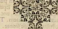 Picture 7 of 57 from Exactissima descriptio rariorum quarundam plantarum, que continentur Rome in Horto Farnesiano (1625), leaf 11