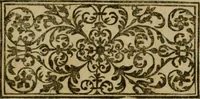 Picture 57 of 57 from Exactissima descriptio rariorum quarundam plantarum, que continentur Rome in Horto Farnesiano (1625), leaf 116