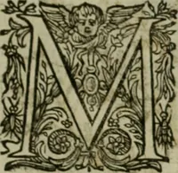 An illustration from Exactissima descriptio rariorum quarundam plantarum, que continentur Rome in Horto Farnesiano (1625)