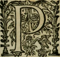 Picture 12 of 57 from Exactissima descriptio rariorum quarundam plantarum, que continentur Rome in Horto Farnesiano (1625), leaf 18