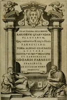 An illustration from Exactissima descriptio rariorum quarundam plantarum, que continentur Rome in Horto Farnesiano (1625)