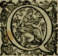Picture 18 of 57 from Exactissima descriptio rariorum quarundam plantarum, que continentur Rome in Horto Farnesiano (1625), leaf 48