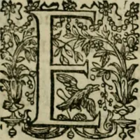 An illustration from Exactissima descriptio rariorum quarundam plantarum, que continentur Rome in Horto Farnesiano (1625)