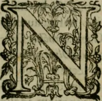 An illustration from Exactissima descriptio rariorum quarundam plantarum, que continentur Rome in Horto Farnesiano (1625)