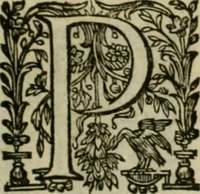An illustration from Exactissima descriptio rariorum quarundam plantarum, que continentur Rome in Horto Farnesiano (1625)
