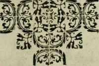 Picture 31 of 57 from Exactissima descriptio rariorum quarundam plantarum, que continentur Rome in Horto Farnesiano (1625), leaf 84