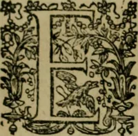 An illustration from Exactissima descriptio rariorum quarundam plantarum, que continentur Rome in Horto Farnesiano (1625)
