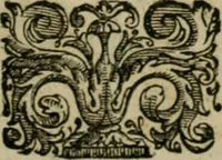 An illustration from Exactissima descriptio rariorum quarundam plantarum, que continentur Rome in Horto Farnesiano (1625)