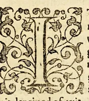 An illustration from Examen de ingenios. = The examination of mens vvits. : In which, by discouering the varietie of natures, is shewed for what profession each one is apt, and how far he shall profit therein. (1616)