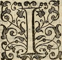 An illustration from Examen de ingenios = The examination of mens wits : in whicch by discouering the varietie of natures, is shewed for what profession each one is apt, and how far he shall profit therein (1594)
