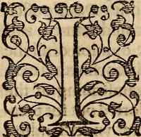 An illustration from Examen de ingenios = The examination of mens wits : in whicch by discouering the varietie of natures, is shewed for what profession each one is apt, and how far he shall profit therein (1594)