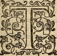 An illustration from Examen de ingenios = The examination of mens wits : in whicch by discouering the varietie of natures, is shewed for what profession each one is apt, and how far he shall profit therein (1594)