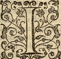 An illustration from Examen de ingenios = The examination of mens wits : in whicch by discouering the varietie of natures, is shewed for what profession each one is apt, and how far he shall profit therein (1594)