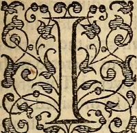 An illustration from Examen de ingenios = The examination of mens wits : in whicch by discouering the varietie of natures, is shewed for what profession each one is apt, and how far he shall profit therein (1594)