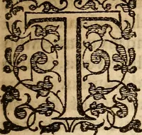 An illustration from Examen de ingenios = The examination of mens wits : in whicch by discouering the varietie of natures, is shewed for what profession each one is apt, and how far he shall profit therein (1594)