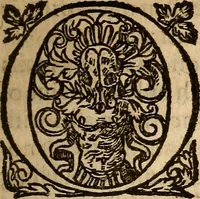An illustration from Examen de ingenios = The examination of mens wits : in whicch by discouering the varietie of natures, is shewed for what profession each one is apt, and how far he shall profit therein (1594)