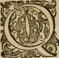 An illustration from Examen fvcorvm psevdo-chymicorvm detectorvm et in gratiam veritatis amantium succincte refutatorum (1617)