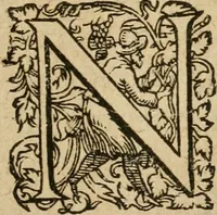 An illustration from Examen fvcorvm psevdo-chymicorvm detectorvm et in gratiam veritatis amantium succincte refutatorum (1617)